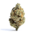 Dried Cannabis - SK - OUEST Bermuda Triangle Flower - Format: - OUEST
