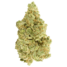 Dried Cannabis - MB - Versus White Widow Flower - Format: