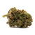 Dried Cannabis - SK - Houseplant Hybrid Flower - Format: - Houseplant