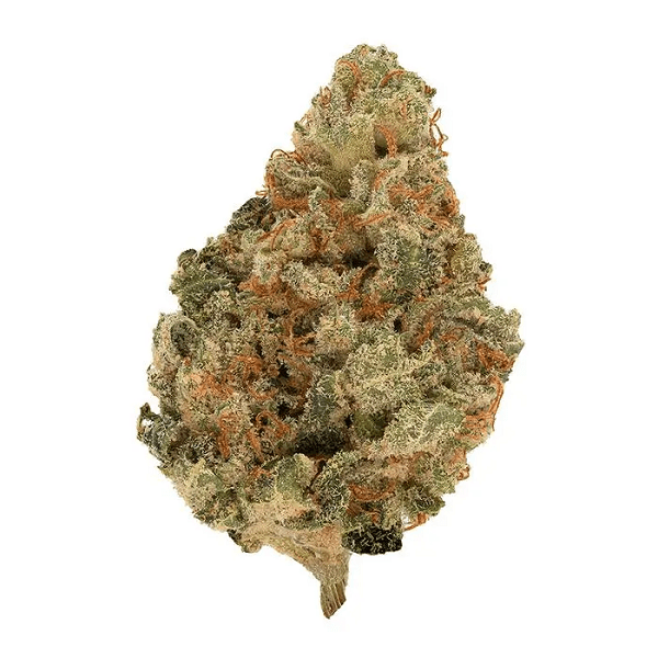 Dried Cannabis - SK - OUEST Grandpa's Stash Flower - Format: - OUEST