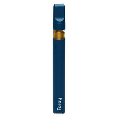 Extracts Inhaled - MB - Foray Sativa THC Disposable Vape Pen - Format: - Foray