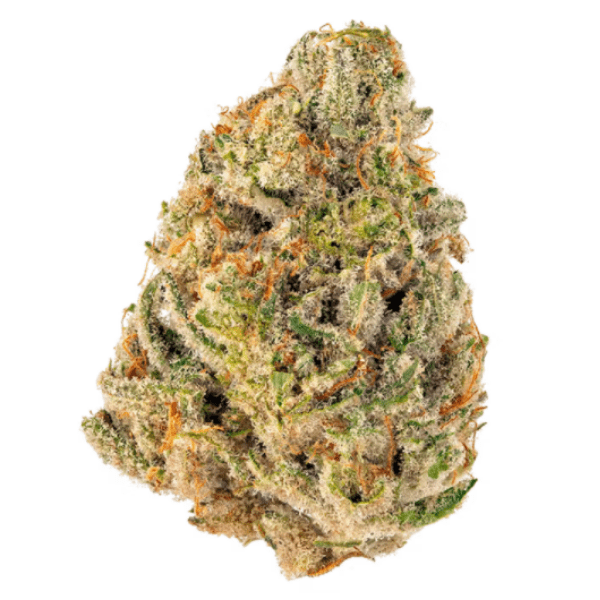 Dried Cannabis - MB - OUEST Bermuda Triangle Flower - Format: - OUEST
