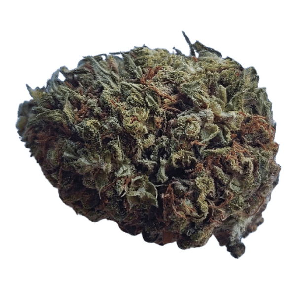 Dried Cannabis - MB - Growtown Panakeia Pure CBG Flower - Format: - Growtown
