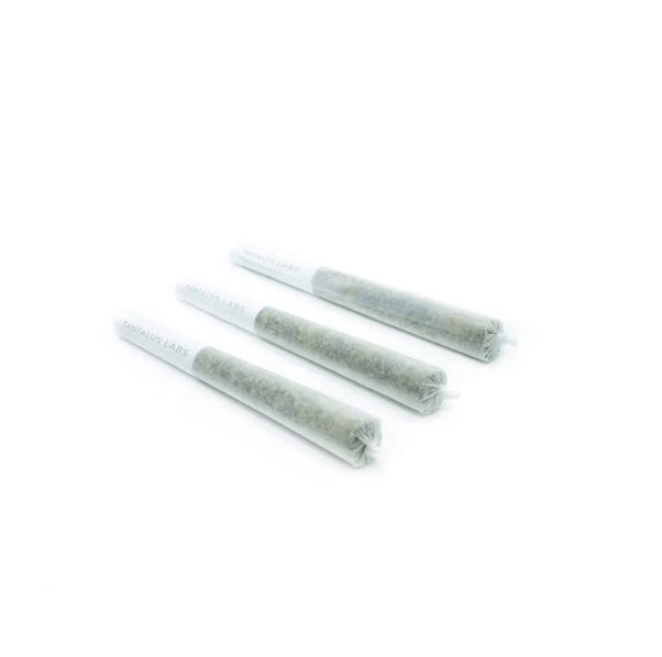 Dried Cannabis - MB - Tantalus Serratus Pre-Roll - Grams: - Tantalus