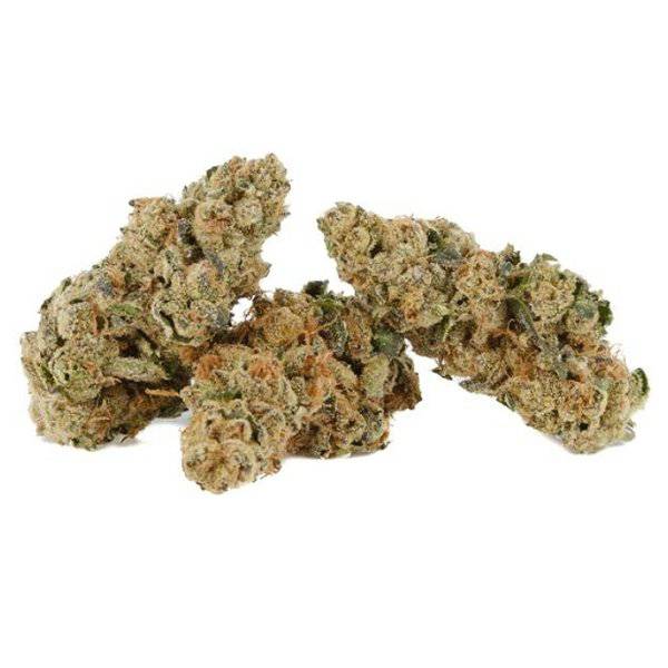 Dried Cannabis - AB - Back Forty Wedding Pie Flower - Format: - Back Forty
