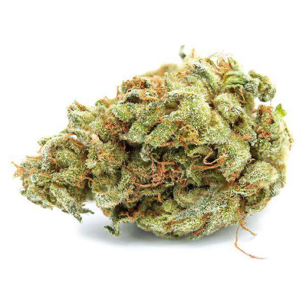 Dried Cannabis - AB - Cove OG Pink Rest Reserve Flower - Format: - Cove