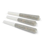 Dried Cannabis - AB - Edison Black Cherry Punch Pre-Roll - Format: - Edison