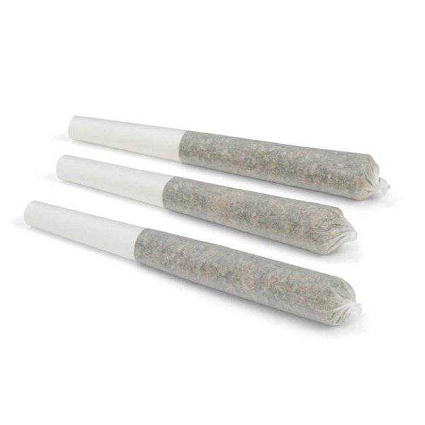 Dried Cannabis - AB - Edison GMO Cookies Pre-Roll - Format: - Edison