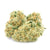 Dried Cannabis - AB - Haven St. Premium No. 516 Sonic Express Flower - Format: - Haven St.