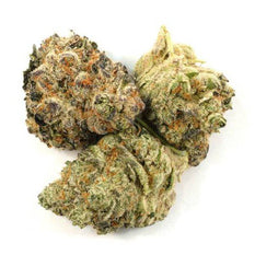 Dried Cannabis - AB - Highland Grow White Lightning Flower - Format: - Highland Grow