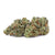 Dried Cannabis - AB - Highly Dutch Organic Rotterdamn Indica Flower - Format: - Highly Dutch Organic