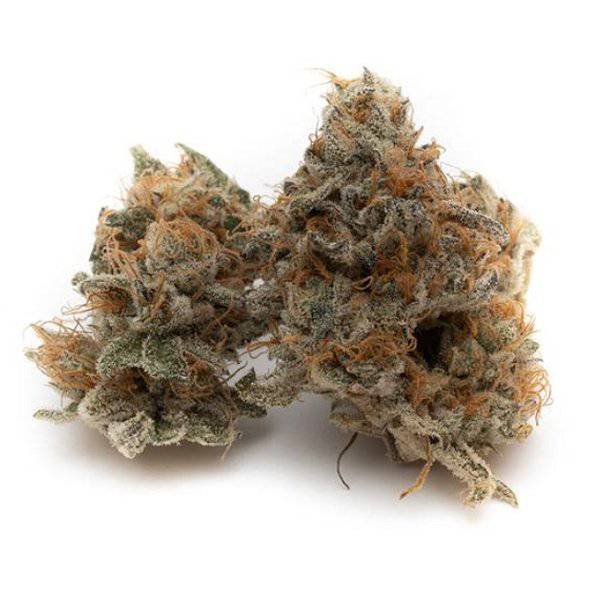 Dried Cannabis - AB - OGEN Bacio Punch #8 Flower - Format: - OGEN