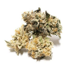 Dried Cannabis - AB - OGEN Freshly Baked #76 Flower - Format: - OGEN