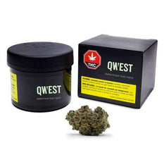 Dried Cannabis - AB - Qwest Stuffed French Toast Flower - Format: - Qwest