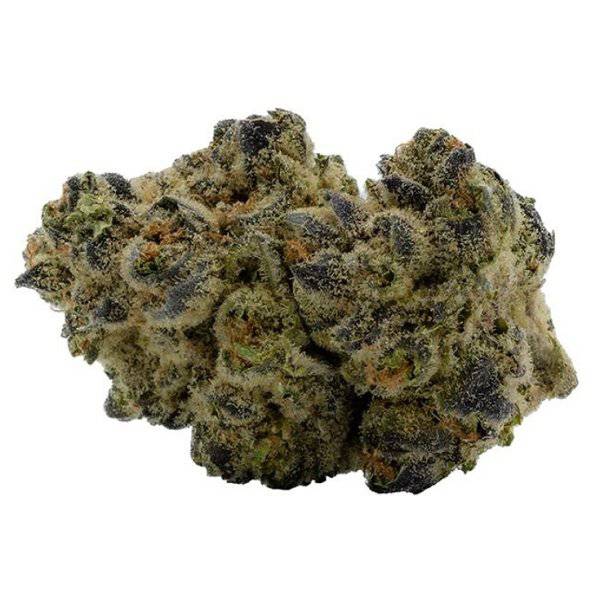 Dried Cannabis - AB - Qwest Stuffed French Toast Flower - Format: - Qwest