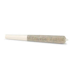 Dried Cannabis - AB - Shred Tropic Thunder J's Pre-Roll - Format: - Shred