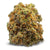 Dried Cannabis - AB - Spinach White Widow Flower - Format: - Spinach