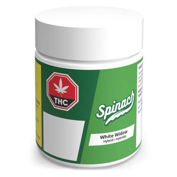 Dried Cannabis - AB - Spinach White Widow Flower - Format: - Spinach