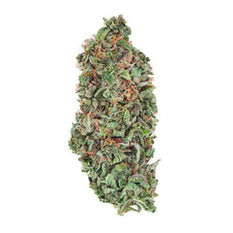 Dried Cannabis - AB - TGOD Organic Rockstar Tuna Flower - Format: - TGOD