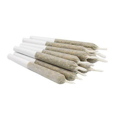 Dried Cannabis - AB - The Batch Sativa Dozen Pre-Roll - Format: - The Batch