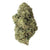 Dried Cannabis - MB - 7ACRES Craft Collective Jet Fuel Cookies Flower - Format: - 7Acres