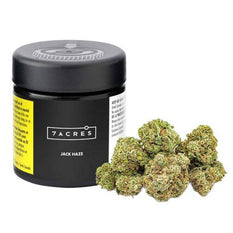 Dried Cannabis - MB - 7ACRES Jack Haze Flower - Format: - 7Acres