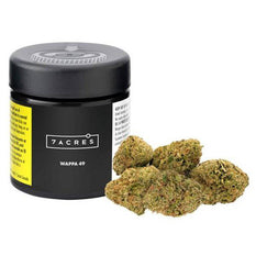 Dried Cannabis - MB - 7ACRES Wappa 49 Flower - Format: - 7Acres