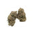 Dried Cannabis - MB - Aaron's BC Bud Island MK Ultra Flower - Format: - Aaron's BC Bud