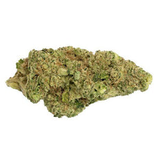 Dried Cannabis - MB - BOLD Gelato Flower - Format: - BOLD