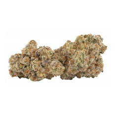 Dried Cannabis - MB - Broken Coast Pipe Dream Flower - Format: - Broken Coast