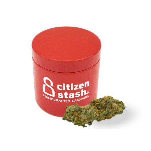 Dried Cannabis - MB - Citizen Stash Mai Tai Flower - Format: - Citizen Stash