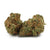 Dried Cannabis - MB - Citizen Stash Sage n' Sour Flower - Format: - Citizen Stash