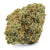 Dried Cannabis - MB - Cove Lime Green Crush Rise Reserve Flower - Format: - Cove