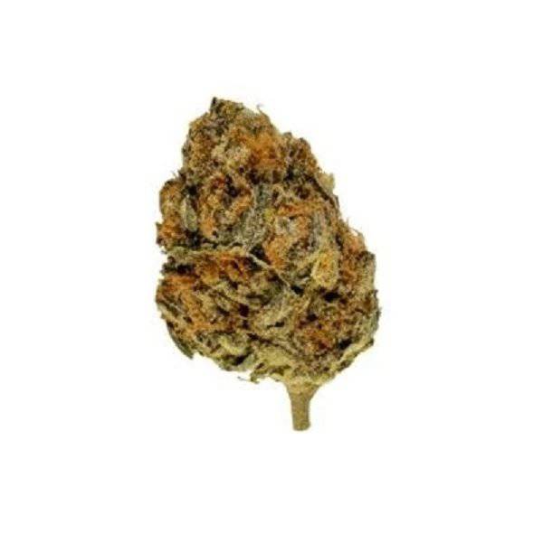 Dried Cannabis - MB - Doja Black Cherry Punch Flower - Format: - Doja