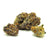 Dried Cannabis - MB - FIGR Go Steady Black Cherry Punch Flower - Format: - FIGR