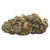 Dried Cannabis - MB - Haven St. Premium Lemon Pound Cake Flower - Format: - Haven St. Premium