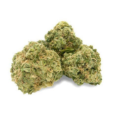 Dried Cannabis - MB - Haven St. Premium No. 515 Noisy Neighbour Flower - Format: - Haven St. Premium