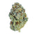 Dried Cannabis - MB - Highland Grow Eastern Dank Flower - Format: - Highland Grow