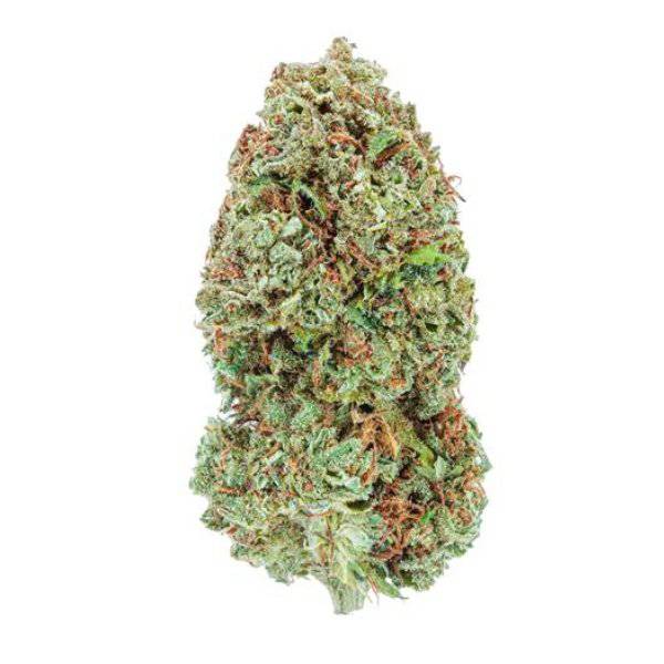 Dried Cannabis - MB - Highly Dutch Organic Amsterdam Sativa Flower - Format: - Highly Dutch Organic