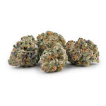 Dried Cannabis - MB - Indi Gelato #33 Flower - Format: - Indi