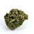 Dried Cannabis - MB - Laurentian Organic Pink Kush Flower - Format: - Laurentian Organic