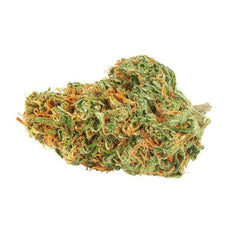 Dried Cannabis - MB - Legend Sativa Blend Flower - Format: - Legend