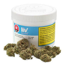 Dried Cannabis - MB - Liiv Bali Kush Flower - Format: - Liiv