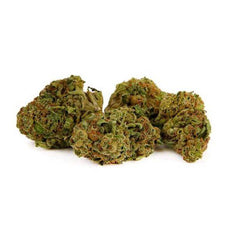 Dried Cannabis - MB - Liiv Easy Cheesy Flower - Format: - Liiv