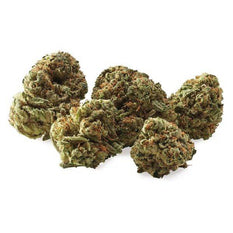 Dried Cannabis - MB - Liiv Orange Monkey Flower - Format: - Liiv
