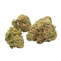 Dried Cannabis - MB - Marley Natural Black Master Kush Flower - Format: - Marley Natural