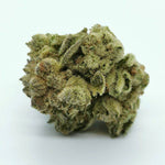 Dried Cannabis - MB - OUEST North Ouest Ginger Fizz Flower - Format: - OUEST