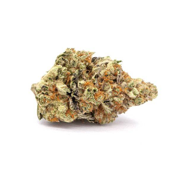 Dried Cannabis - MB - Shelter Kootenay's Finest Organic Jellysickle Flower - Format: - Shelter