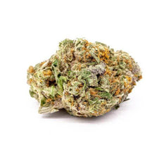 Dried Cannabis - MB - Shelter Kootenay's Finest Organic White Chocolate Diamonds Flower - Format: - Shelter