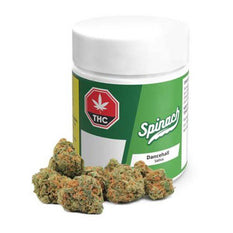 Dried Cannabis - MB - Spinach Dancehall Flower - Format: - Spinach